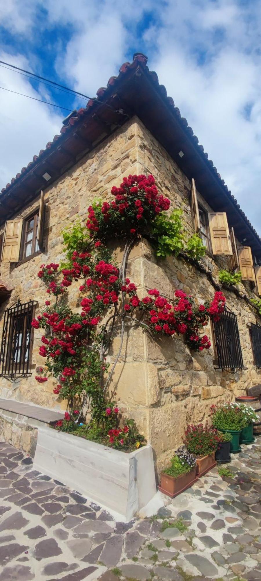 Nuestra Casa De Luriezo